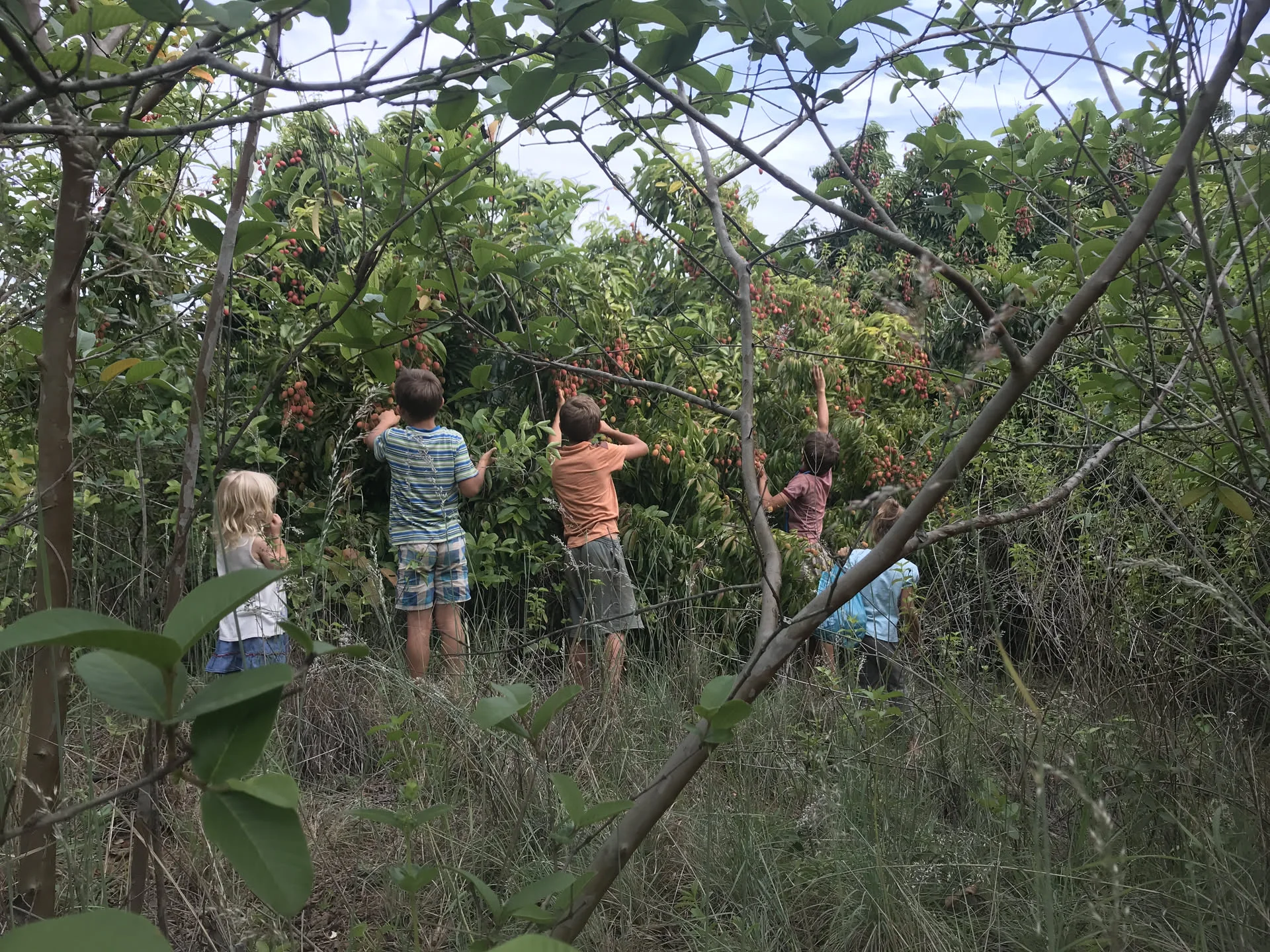 Family enjoying nature in the South African bushveld